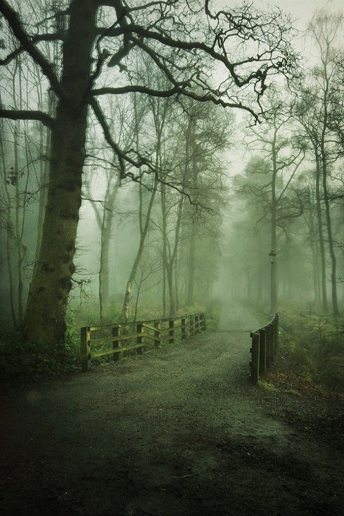 ponderation: Balloch Park by Mark Harris