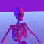 shaxqueer
