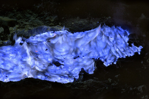 end0skeletal:  The blue flames of Indonesia’s Ijen volcano are caused by super-heated sulfuric gases forcing their way to the surface. Upon hitting open air, the gases ignite, sometimes shooting flames as high as 16 feet.   Some of the gases condense