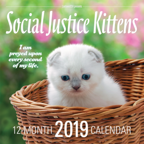 ANNOUNCING THE 2019 SOCIAL JUSTICE KITTENS CALENDARIt’s 2019. All around us, ancient evils lurk in t