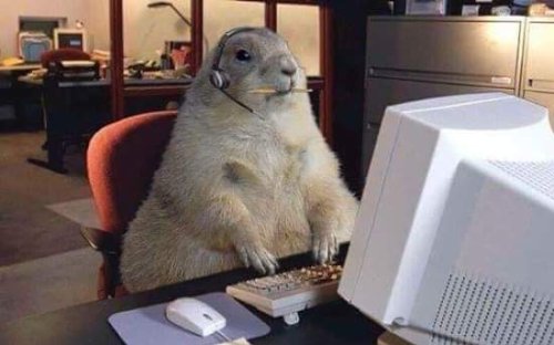 Gopher With A Pencil On Its Mouth Wearing A Headset Sitting On A Chair And Using A Computer