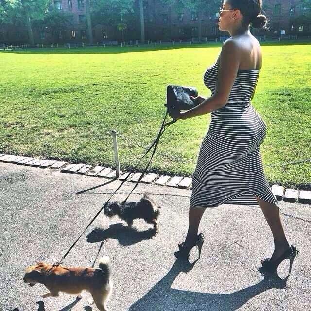 everydayphotos77:  Walking the Dogs
