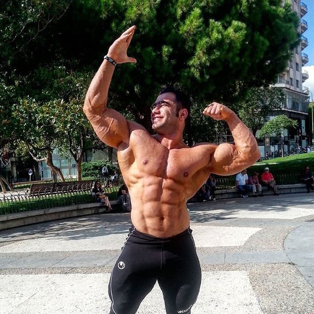 nicemusclemen:Ayat Bagheri