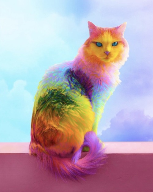 crossconnectmag:  Photo based digital colored animals by adult photos