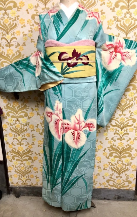 tanuki-kimono:Impressive iris fields, vintage outfit seen on