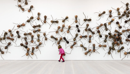 asylum-art:  The Invasive Art of Rafael Gómezbarros Since 2007, sculptor Rafael Gómezbarros has brought his invasive swarm of giant ants to public buildings of his native Columbia. Titled “Casa Tomada”, (Seized House), the ants represent the displacement