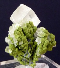  Very unique specimen of Calcite and Mottramite! 