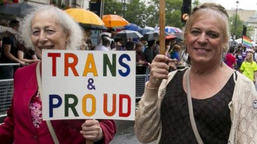 gaywrites: We see you. We hear you. You matter. You are perfect. Transgender Day of Visibility | Mar
