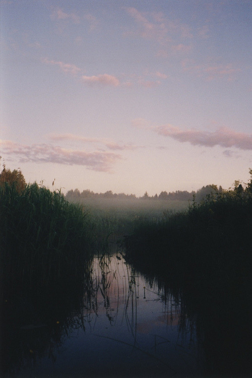 eartheld:  mostly nature