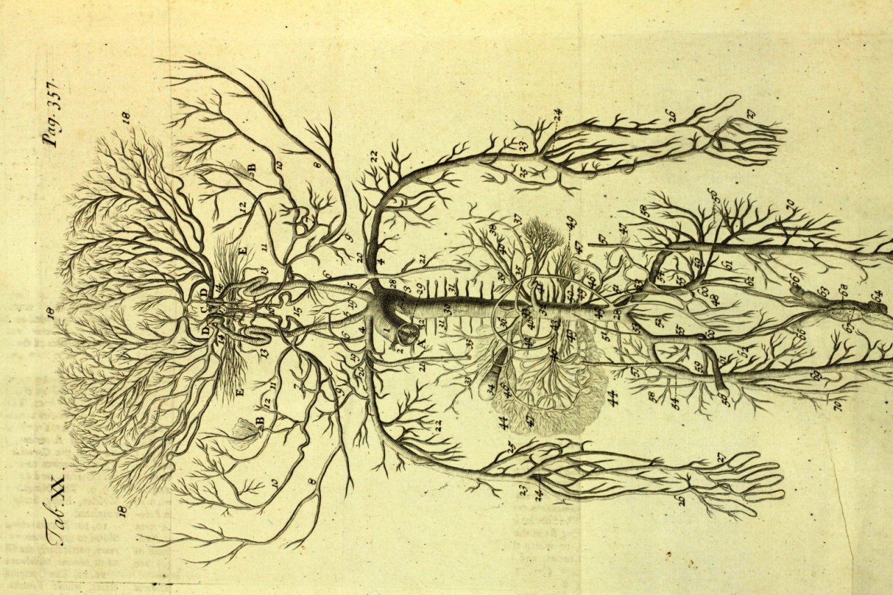michaelmoonsbookshop:Early 18th Century AnatomyJAMES DRAKEAnthropologia nova; or