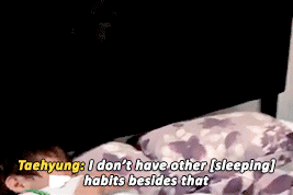 booptae:a baby koala even when he is sleeping