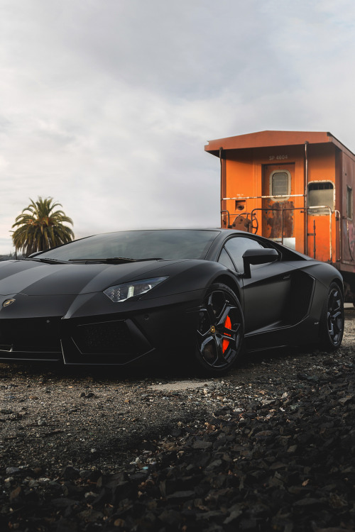 artoftheautomobile: Lamborghini Aventadorvia Matt Conley