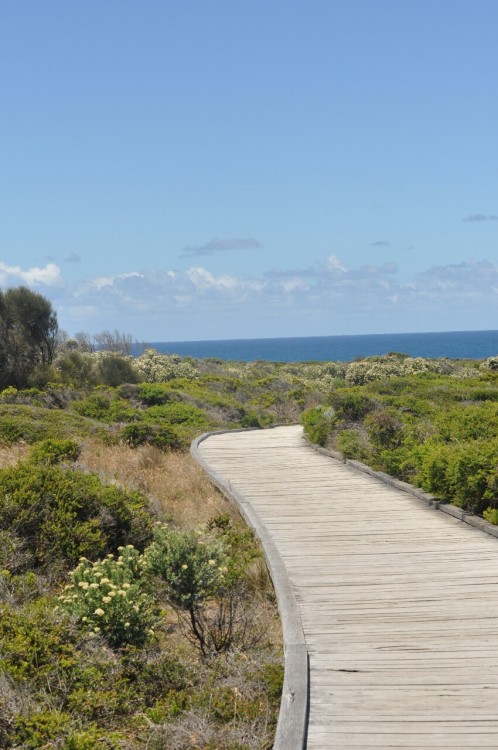 Australien Part 2 - Great Ocean Road Ich sitze gerade in Flugzeug nach Kuala Lumpur und habe ein paa