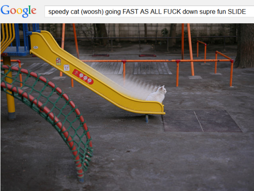 ghostboyhost:top cat speed