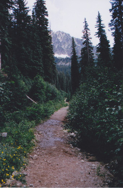 brutalgeneration:  untitled by Monica Allaby