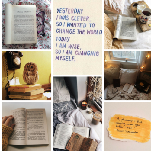 Ravenclaw/Hufflepuff + ISFJ + books + coziness + quotes moodboardPhoto credits (L to R, top to botto