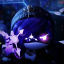 darkxwolf1703