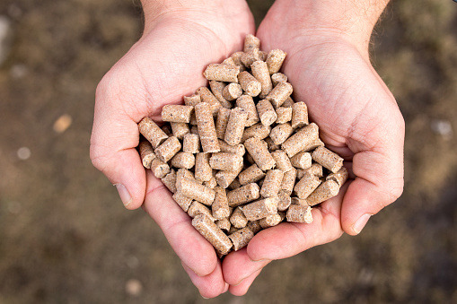 Compound Feed Market with Worldwide Industry   Forecast with Trends, Size, Share, Region and Analysis