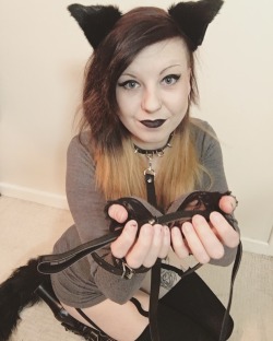 lynxkitten:  Play? 