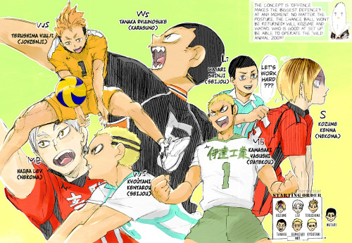 heroicstar:  Haikyuu!! Dream Team Line Ups + Team Wild Animal Zoo