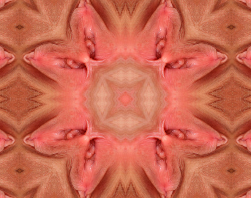 Porn photo kaleidoscopepussy:  wow, such a juicy pussy!