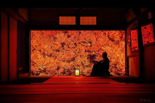 todayintokyo:Tokyo Camera Club Editor’s Choice: Takashi Karaki, taken at Ankoku-ji (安国寺) in Toyooka,