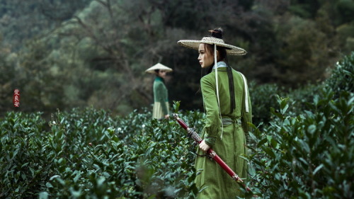 hanfugallery:Traditional Chinese hanfu. Artistic photography “wuxia” by 爱良安 Absolutely s