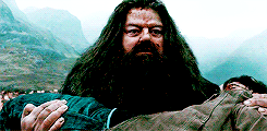nevillles:  ANONYMOUS: Could you gif the saddest moments from the HP movies? (I know I’m a masochist..) 