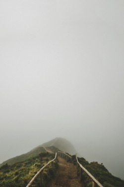 Foggy Path | Photographer © | IG | AOI