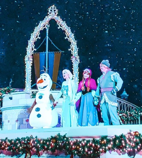 Frozen Friday is here ☃️❄️ Just watched Elsa light up Cinderella’s castle in Magic Kingdom and