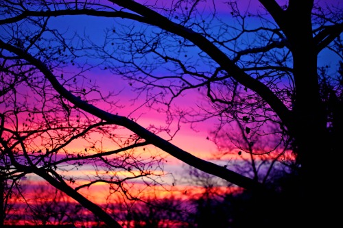 olenkoskitchen: Happy Winter Solstice!  Beautiful Sunset in Tarrytown : ) view from my pat