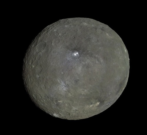wonders-of-the-cosmos:  Ceres is the largest adult photos