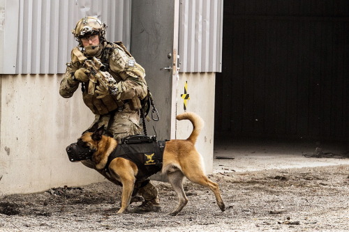 refactortactical:  RE Factor Tactical  “If your dog doesn’t like someone you probably shouldn’t either.” 