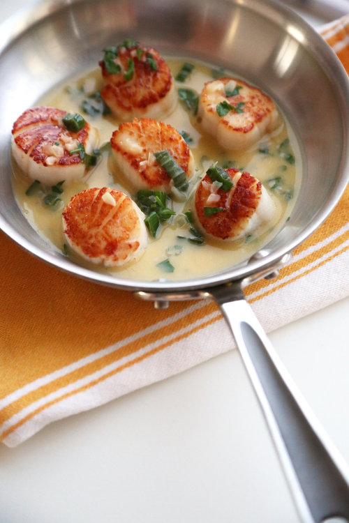 foodffs:Seared Scallops in White Wine Butter SauceReally nice recipes. Every hour.