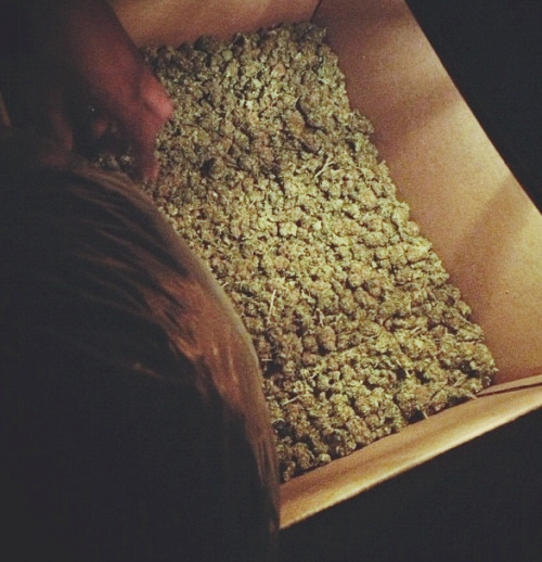 weedorz:  Always more weed on http://weedorz.tumblr.com
