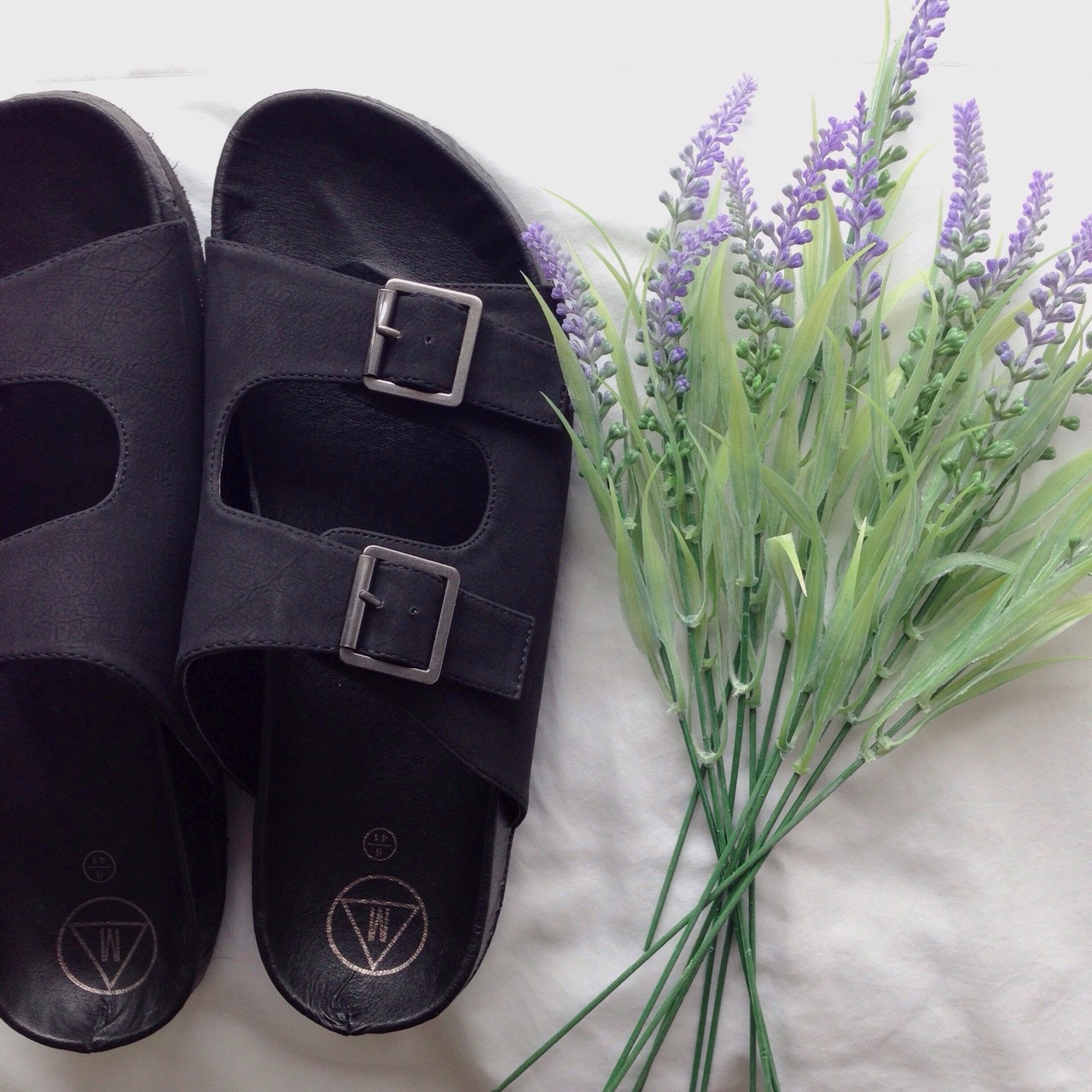 asteroided:  They finally came 🌿