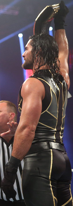 sexy wwe guys