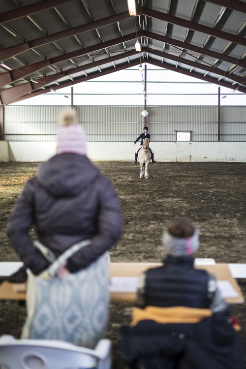 judges at the dressage showFollow me on instagram!Maz_foto