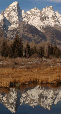 riverwindphotography: Spirit of the Mountains: The Grand Teton is reflected in the calm waters of a wetland along the Snake River, Grand Teton National Park, Wyoming by riverwindphotography, Nov. 6, 2016  