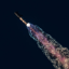 flyawaybetter2