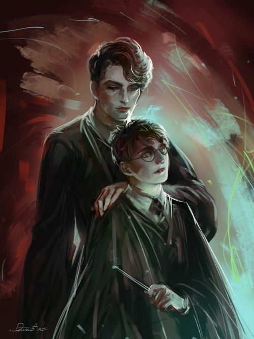Tom Marvolo Riddle and Harry Potter.  A gift for my dear friends from Russia who are fans of these c