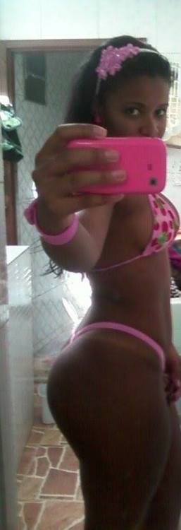 GATAS DO BRASIL