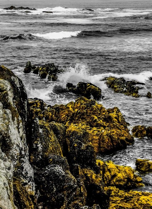Stone. Sea. Galicia.Pedra. Mar. Miña terra galega.