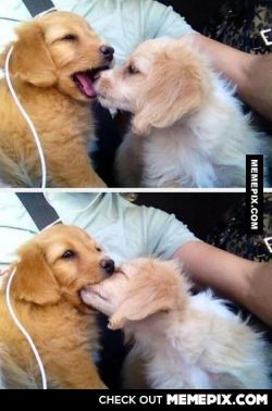 funniestpicever:  It Started Out a kiss,