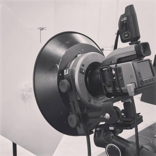 alexkolsokov:  Testing #broncolor #ringflash. #studio #hasselblad #fun #picoftheday #instapicofday