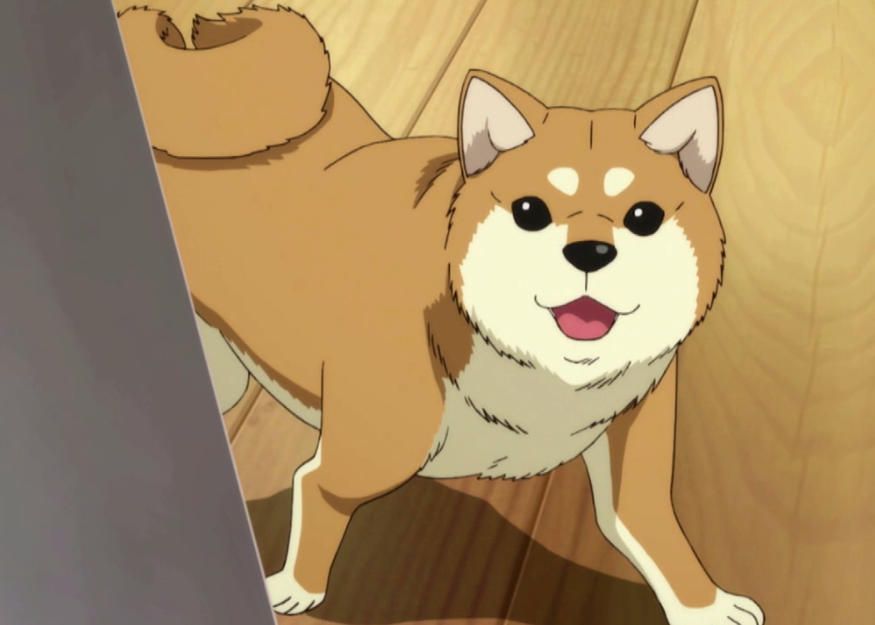 Today's anime dog of the day is: Pochi from Do It