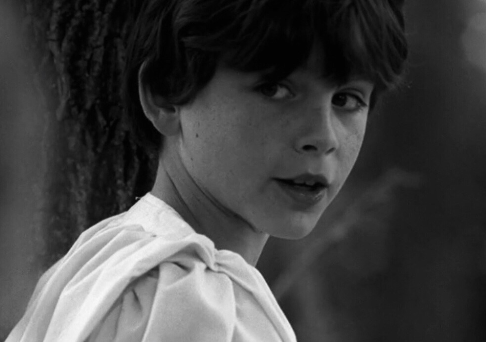 Timothee Chalamet IMDb part 1 - Sweet Tooth #timotheechalamet #fyp #fo