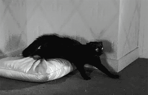 and I, myself, am strange and unusual