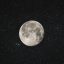 moonbeamdragon