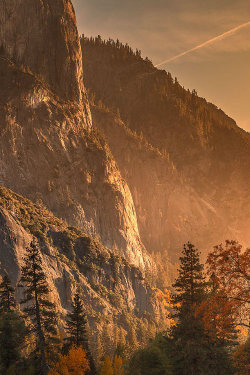 ternpest:  (via 500px / Fall in Yosemite by Rickard Forsberg) 